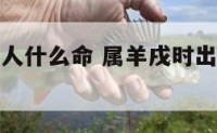 属羊戌时生人什么命 属羊戌时出生的男孩命运