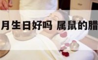 属鼠的人腊月生日好吗 属鼠的腊月份出生有什么说法
