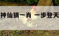 一步登天是神仙猜一肖 一步登天打一生肖动物