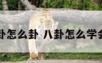八卦怎么卦 八卦怎么学会算