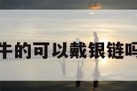 包含属牛的可以戴银链吗的词条