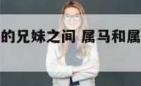 属马和属鼠的兄妹之间 属马和属鼠兄妹好不好