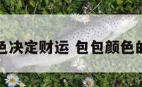 包包的颜色决定财运 包包颜色的风水讲究