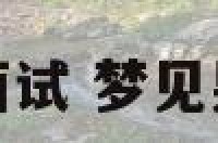 梦见恋人找工作面试 梦见男朋友找工作面试