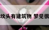 梦到好多坟头有建筑物 梦见很多坟墓地