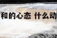 什么动物有平和的心态 什么动物是和平的象征
