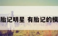 腿胎记明星 有胎记的模特