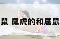 属虎比属鼠 属虎的和属鼠的差几岁