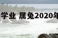 属兔2018学业 属兔2020年学业怎么样