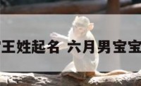 六月男宝宝王姓起名 六月男宝宝王姓起名字