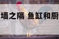 鱼缸与厨房一墙之隔 鱼缸和厨房隔着一道墙放好吗