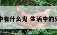 生活中有什么鬼 生活中的鬼点子