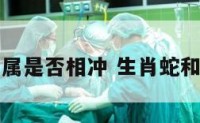 生肖蛇和属是否相冲 生肖蛇和蛇相冲吗