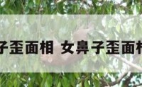 女鼻子歪面相 女鼻子歪面相图片