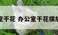 办公室干花 办公室干花摆放风水