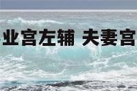 夫妻宫右弼事业宫左辅 夫妻宫右弼官禄宫左辅