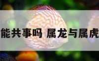 属龙与属虎能共事吗 属龙与属虎能不能合作