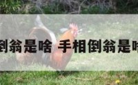 手相倒翁是啥 手相倒翁是啥样的