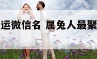 属兔招财好运微信名 属兔人最聚财旺财招财微信名