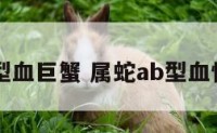 属蛇ab型血巨蟹 属蛇ab型血性格特点