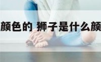 狮子是什么颜色的 狮子是什么颜色的图片简笔画
