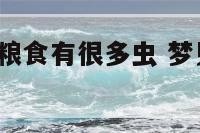 5梦见自家的粮食有很多虫 梦见自己家的粮食生虫