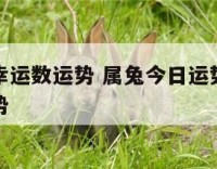 属兔今日幸运数运势 属兔今日运势查询属兔人今日运势