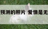 爱情是无法预测的照片 爱情是无法预测的照片说说