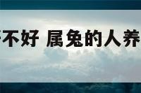 属兔的养猫好不好 属兔的人养猫好还是养狗好