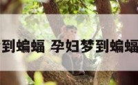 孕妇梦到蝙蝠 孕妇梦到蝙蝠咬自己
