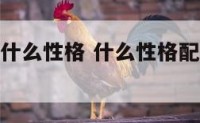什么性格配什么性格 什么性格配什么性格合适