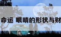 眼睛形状命运 眼睛的形状与财运有关吗