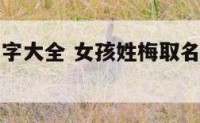 女孩梅氏名字大全 女孩姓梅取名字寓意优雅一点
