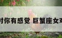 巨蟹座女对你有感觉 巨蟹座女对你有好感