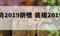 属猪运势2019跳槽 属猪2019运势及运程