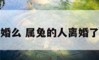 属兔只有离婚么 属兔的人离婚了还能复婚吗