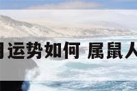 生肖鼠5月运势如何 属鼠人五月运势
