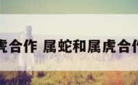 属蛇和属虎合作 属蛇和属虎合作生意好吗