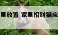 招财猫在家里放置 家里招财猫应该放在什么位置好