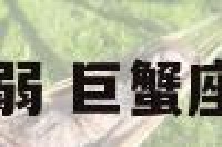 巨蟹座性格柔弱 巨蟹座的弱点和软肋