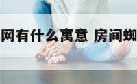 蜘蛛卧室结网有什么寓意 房间蜘蛛结网什么风水