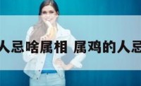 属鸡的人忌啥属相 属鸡的人忌讳什么