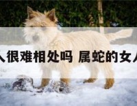 属蛇的女人很难相处吗 属蛇的女人重感情吗