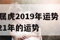 1962年属虎2019年运势 1962年属虎2021年的运势