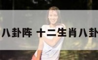 十二生肖八卦阵 十二生肖八卦阵手抄报