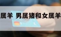 男属猪和女属羊 男属猪和女属羊的婚配好不好