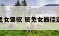 属兔女驾驭 属兔女最佳选择