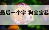 狗宝宝起名最后一个字 狗宝宝起名最后一个字怎么起