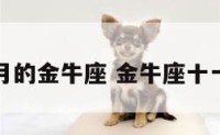 十一月的金牛座 金牛座十一月份