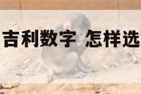 如何选车牌号吉利数字 怎样选择车牌号为吉数